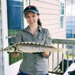 Sturgeon